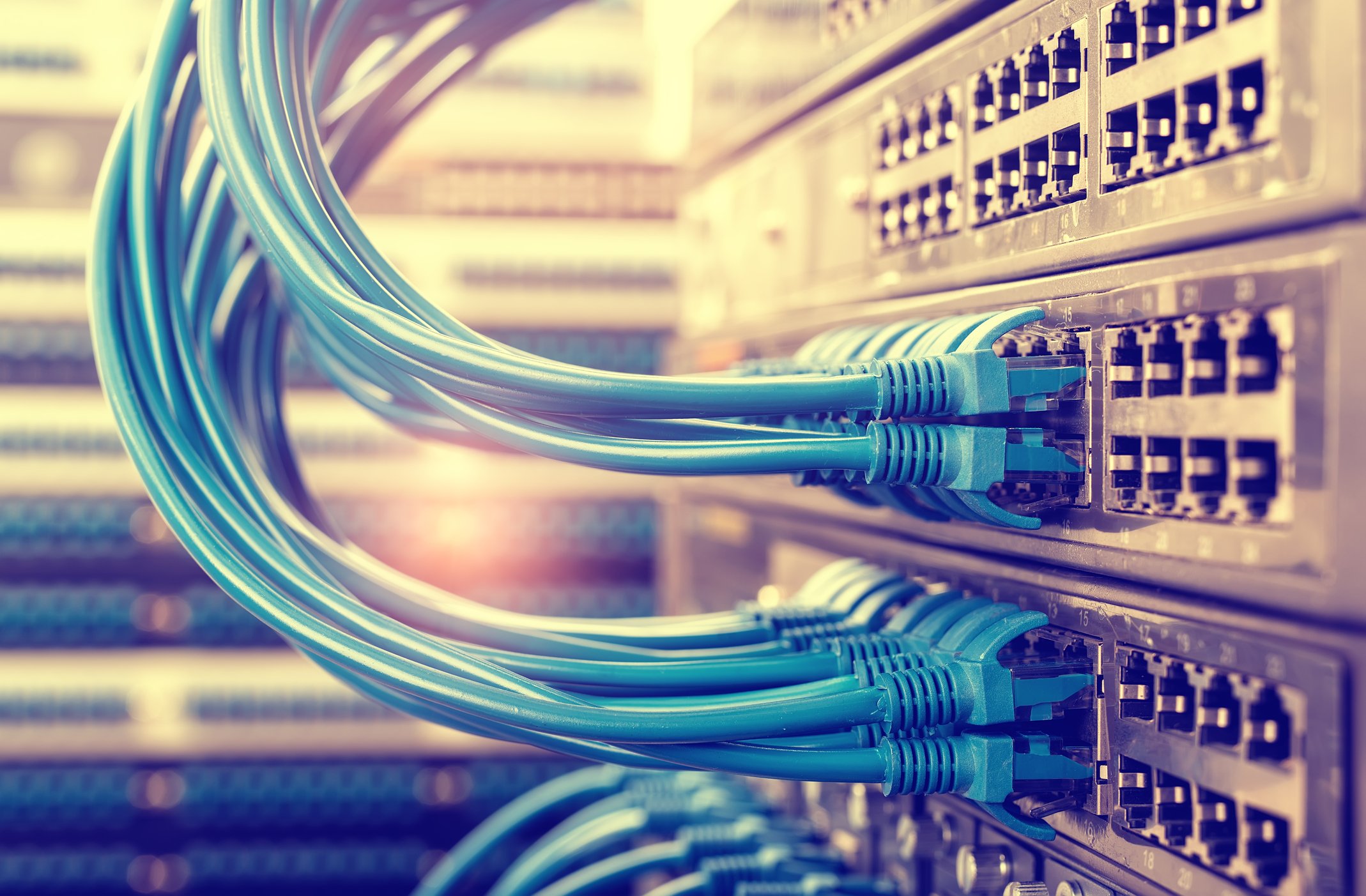 What Is the Role of Networking Switches in Networking and Which Networking Switch Is Best Suited to Your Businesses? 